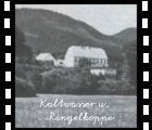 Click fr Ansicht von Barzdorf-Kaltwasser mit Ringelkoppe -105 KB 