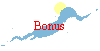 Bonus